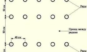 Схема посадки