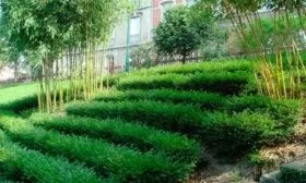 в ландшафте