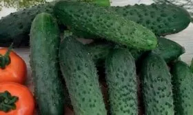 Витаминный состав