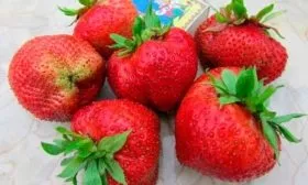 Вкус и особенности ягод