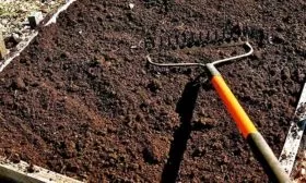 Выбор места и подготовка грядок 1