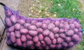 Сбор и хранение