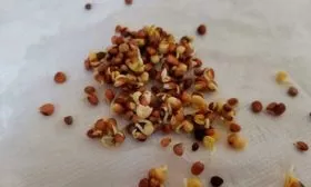 Замачивание