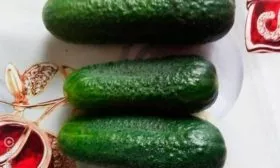 Характеристики