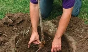 Алгоритм посадки