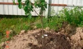 Алгоритм посадки