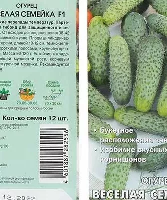 Веселая семейка