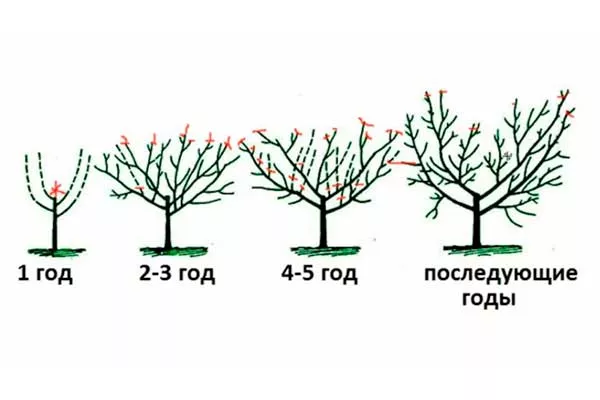 Обрезка