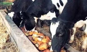 Для чего и кем используется