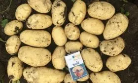 Характеристики