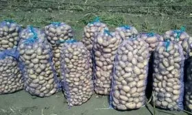 Сбор и хранение