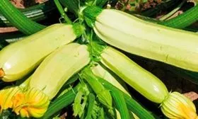 Характеристики