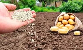 Нюансы ухода