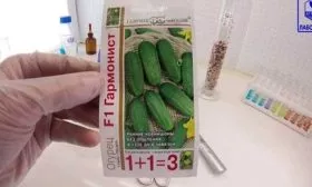 Огурец Гармонист