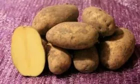 Описание растения и клубней