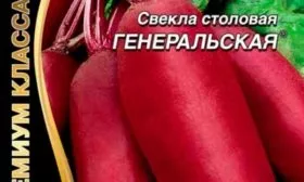 Описание внешнего вида