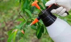 опрыскивание