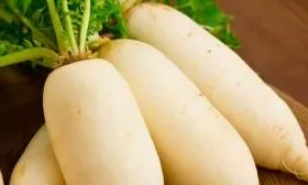 Особенности вкуса, растения и корнеплодов