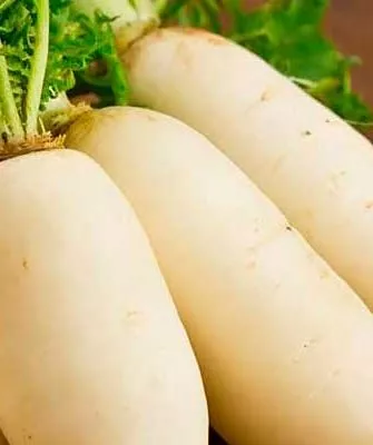 Осенний гигант