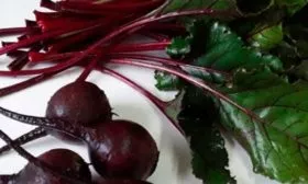 Отличительные черты ботвы и корнеплодов