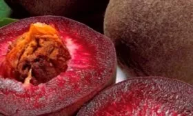 Плоды и их вкусовые характеристики