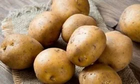 Плюсы и минусы сорта