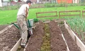 Подготовка грядки