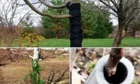 Подготовка к зиме