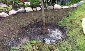 Подкормка и полив (1)