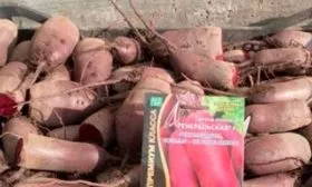 Продуктивность