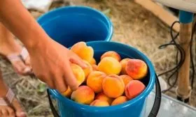 Сбор и хранение