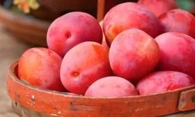 Урожайность