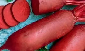 Свёкла Генеральская