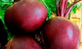 происхождение