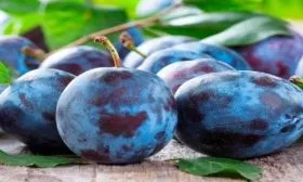 урожайность