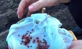 замачивание