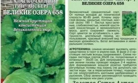 Салат