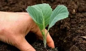 1Особенности посадки