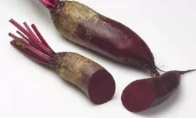 Характеристики сорта свёклы