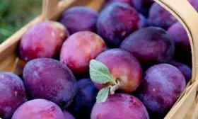 Сбор урожая