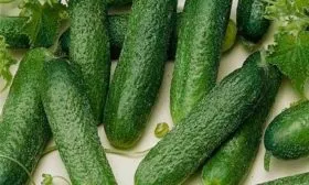 урожайность