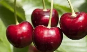 Характеристики