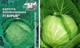 Капуста Взрыв