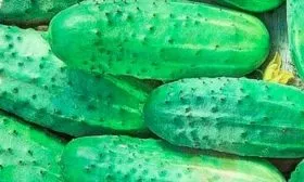 Когда созревает, урожайность