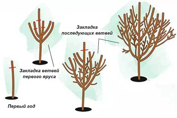 обрезка