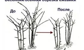 Обрезка