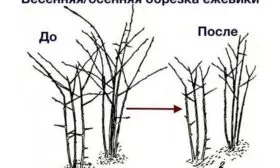 Обрезка