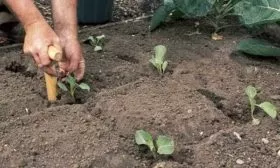 Особенности посадки1