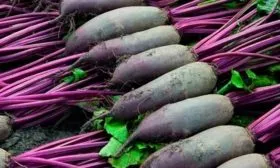 Урожайность