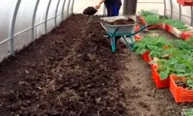 Подготовка участка